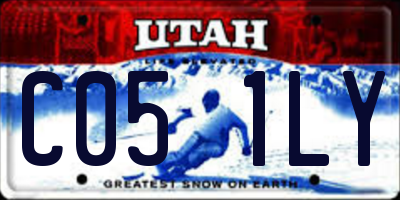 UT license plate C051LY