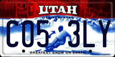 UT license plate C053LY