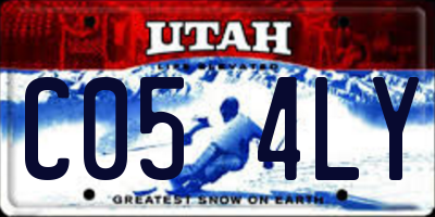 UT license plate C054LY