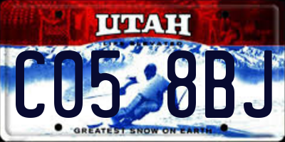 UT license plate C058BJ