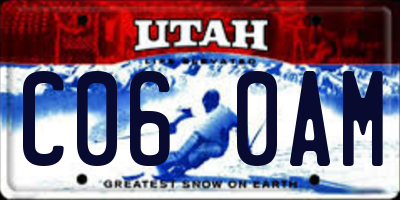 UT license plate C060AM