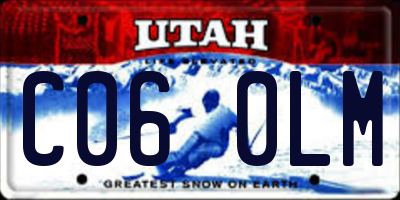 UT license plate C060LM