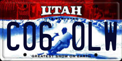 UT license plate C060LW