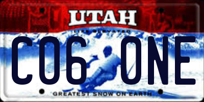 UT license plate C060NE