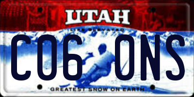 UT license plate C060NS