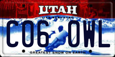 UT license plate C060WL