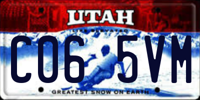 UT license plate C065VM