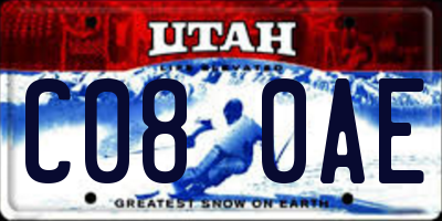UT license plate C080AE