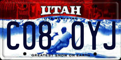 UT license plate C080YJ