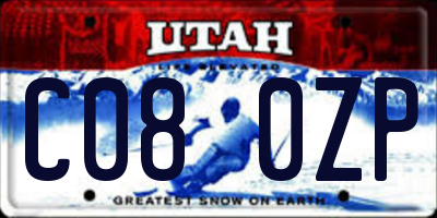 UT license plate C080ZP