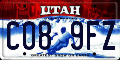 UT license plate C089FZ