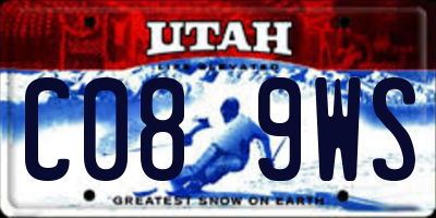 UT license plate C089WS