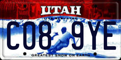 UT license plate C089YE