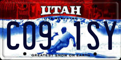UT license plate C091SY