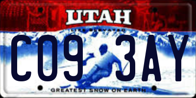 UT license plate C093AY