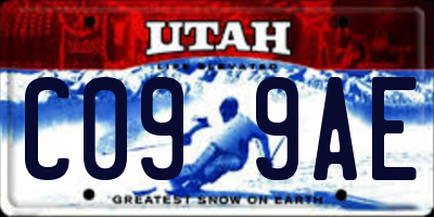 UT license plate C099AE