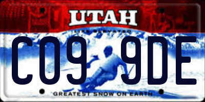 UT license plate C099DE
