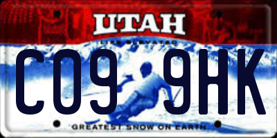 UT license plate C099HK