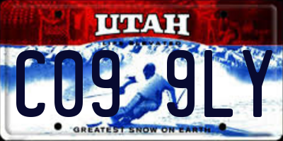 UT license plate C099LY