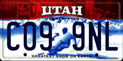 UT license plate C099NL