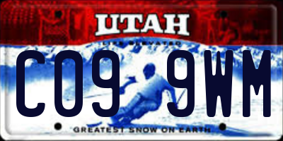 UT license plate C099WM