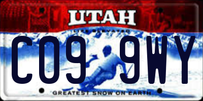 UT license plate C099WY