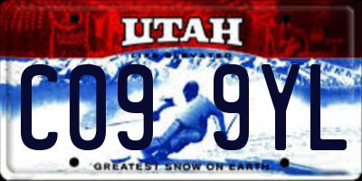UT license plate C099YL