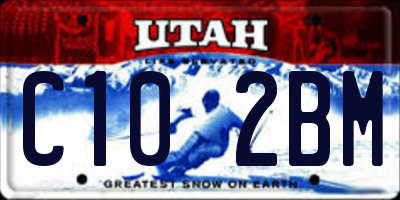 UT license plate C102BM