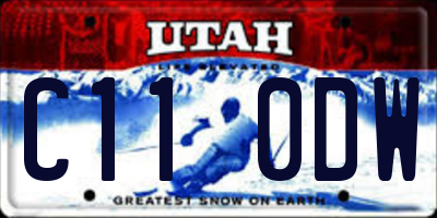 UT license plate C110DW