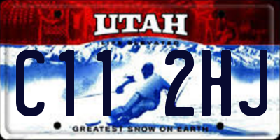 UT license plate C112HJ