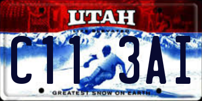 UT license plate C113AI