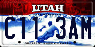 UT license plate C113AM