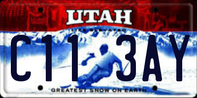 UT license plate C113AY