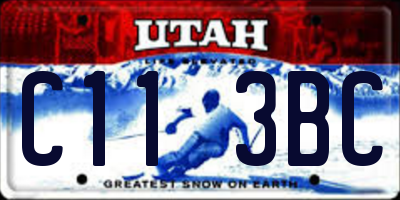 UT license plate C113BC