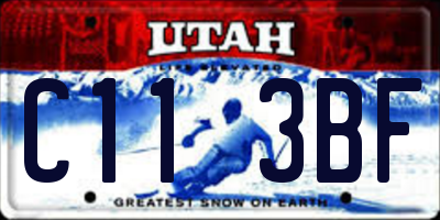 UT license plate C113BF