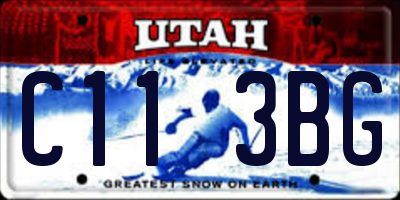 UT license plate C113BG