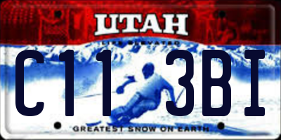 UT license plate C113BI