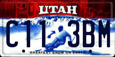 UT license plate C113BM