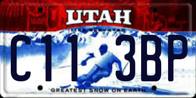 UT license plate C113BP