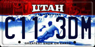 UT license plate C113DM