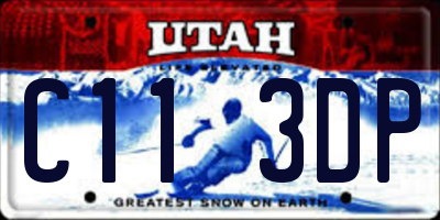 UT license plate C113DP
