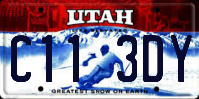 UT license plate C113DY