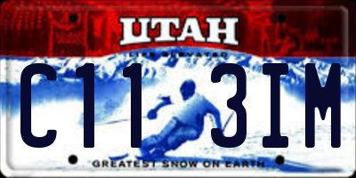 UT license plate C113IM