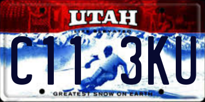 UT license plate C113KU