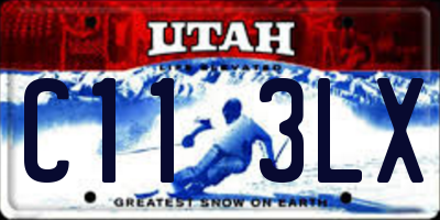 UT license plate C113LX