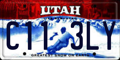 UT license plate C113LY