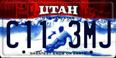 UT license plate C113MJ