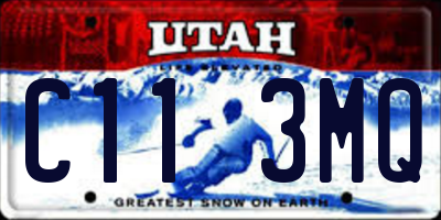 UT license plate C113MQ