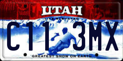 UT license plate C113MX