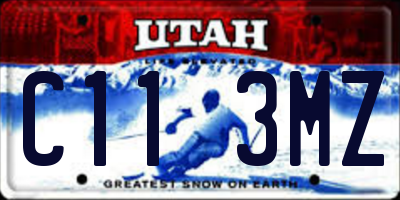 UT license plate C113MZ